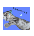なつっこ 久穏(くおん)ちゃんฅ•ω•ฅ（個別スタンプ：28）