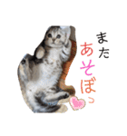 なつっこ 久穏(くおん)ちゃんฅ•ω•ฅ（個別スタンプ：30）