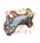 なつっこ 久穏(くおん)ちゃんฅ•ω•ฅ（個別スタンプ：35）