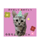 なつっこ 久穏(くおん)ちゃんฅ•ω•ฅ（個別スタンプ：37）