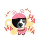 ボーダーコリーあすりーとくん（個別スタンプ：2）