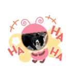 ボーダーコリーあすりーとくん（個別スタンプ：8）