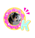 ボーダーコリーあすりーとくん（個別スタンプ：39）