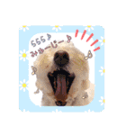 らぶたんとなかまたち（個別スタンプ：5）