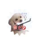 らぶたんとなかまたち（個別スタンプ：7）