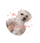 らぶたんとなかまたち（個別スタンプ：9）