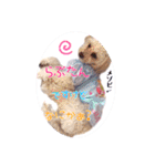 らぶたんとなかまたち（個別スタンプ：12）
