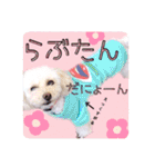 らぶたんとなかまたち（個別スタンプ：14）