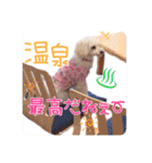 らぶたんとなかまたち（個別スタンプ：16）