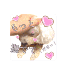 らぶたんとなかまたち（個別スタンプ：20）