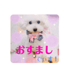 らぶたんとなかまたち（個別スタンプ：22）