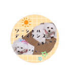 らぶたんとなかまたち（個別スタンプ：23）