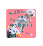 らぶたんとなかまたち（個別スタンプ：24）