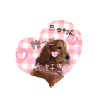 らぶたんとなかまたち（個別スタンプ：25）