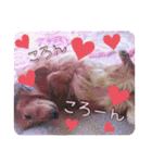 らぶたんとなかまたち（個別スタンプ：27）