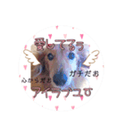 らぶたんとなかまたち（個別スタンプ：28）