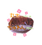 らぶたんとなかまたち（個別スタンプ：30）