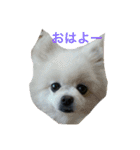 MInako_20200527225149（個別スタンプ：1）