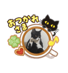 ねこの忍忍 スタンプ 1（個別スタンプ：14）