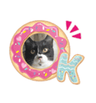ねこの忍忍 スタンプ 1（個別スタンプ：16）