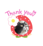 ねこの忍忍 スタンプ 1（個別スタンプ：17）