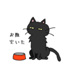 猫のくろえ（個別スタンプ：4）