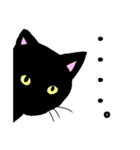 猫のくろえ（個別スタンプ：6）