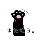 猫のくろえ（個別スタンプ：7）