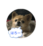 じぇりくんの1日（個別スタンプ：1）