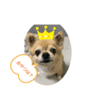 じぇりくんの1日（個別スタンプ：4）