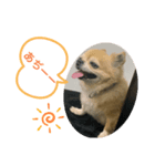 じぇりくんの1日（個別スタンプ：5）