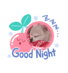 じぇりくんの1日（個別スタンプ：8）