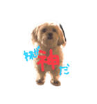 うりき（個別スタンプ：2）