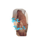 うりき（個別スタンプ：3）