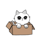 のんきなにゃんこ（個別スタンプ：21）