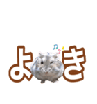 ふところさんとほそころさん2（個別スタンプ：3）