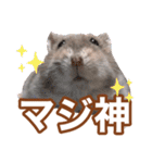 ふところさんとほそころさん2（個別スタンプ：4）