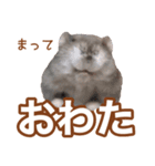 ふところさんとほそころさん2（個別スタンプ：7）