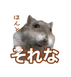 ふところさんとほそころさん2（個別スタンプ：8）