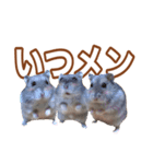 ふところさんとほそころさん2（個別スタンプ：9）