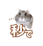 ふところさんとほそころさん2（個別スタンプ：11）