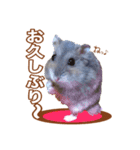 ふところさんとほそころさん2（個別スタンプ：12）