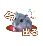 ふところさんとほそころさん2（個別スタンプ：13）
