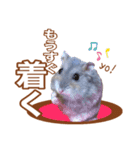 ふところさんとほそころさん2（個別スタンプ：14）
