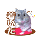 ふところさんとほそころさん2（個別スタンプ：15）