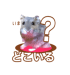 ふところさんとほそころさん2（個別スタンプ：16）