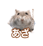 ふところさんとほそころさん2（個別スタンプ：18）