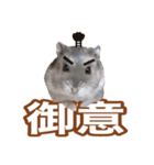 ふところさんとほそころさん2（個別スタンプ：19）
