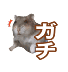 ふところさんとほそころさん2（個別スタンプ：20）