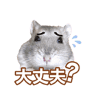 ふところさんとほそころさん2（個別スタンプ：21）